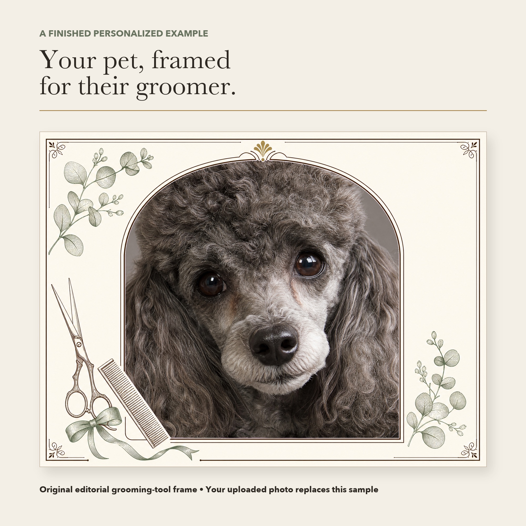 Finished personalized dog groomer mug frame with a sample poodle photo